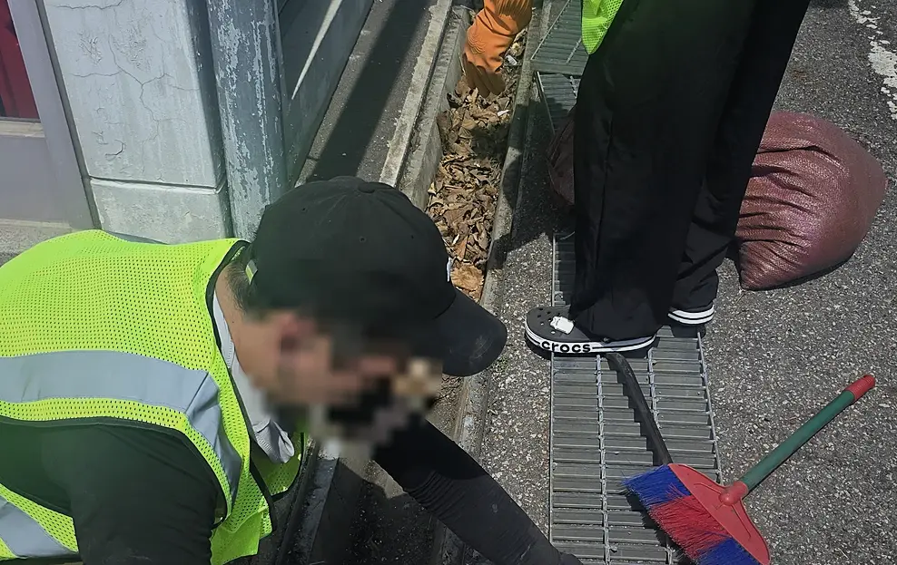 강남구 침수청소 작업 전후 5