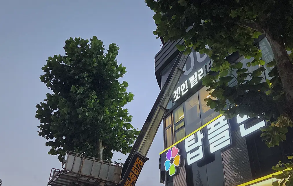 금천구 원룸 곰팡이제거 비용 현장 사진 5